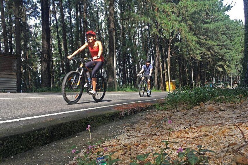 Nuwara Eliya Highlands Cycling Tour from Kandy