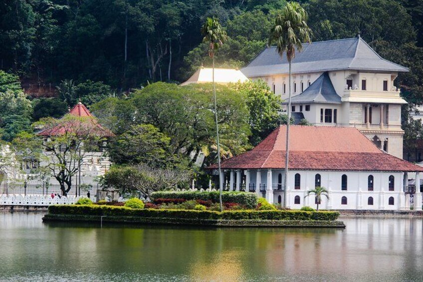 Kandy Day Tour from Colombo or Negombo by Private Car or Van with Driver