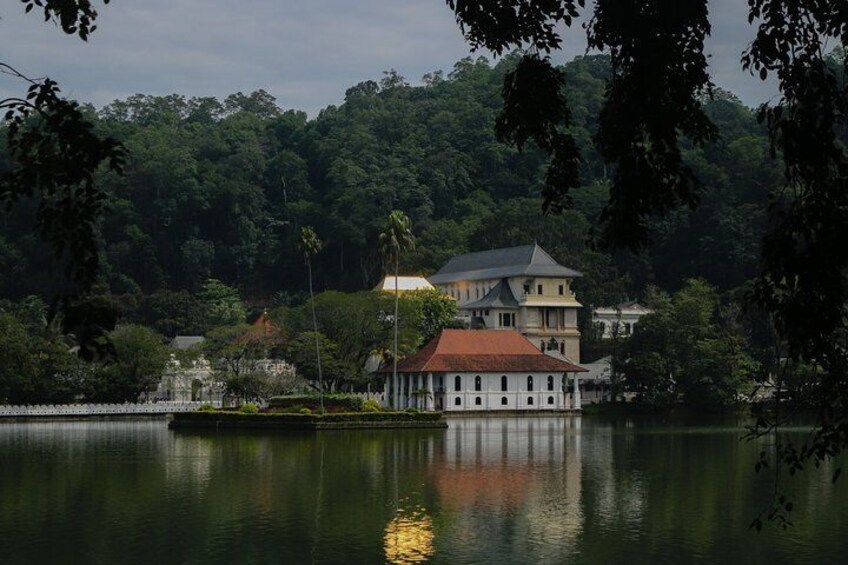 Kandy Day Tour from Colombo or Negombo by Private Car or Van with Driver