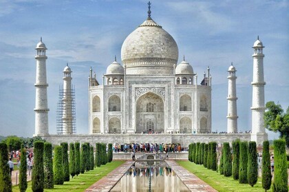 Skip The Line: Taj Mahal Sunrise Tour from - Delhi (All-Inclusive)