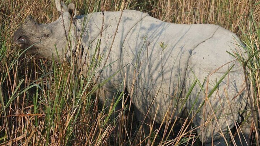 Meghalaya With Kaziranga