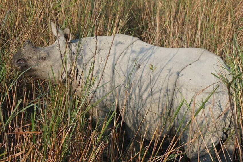 Meghalaya With Kaziranga