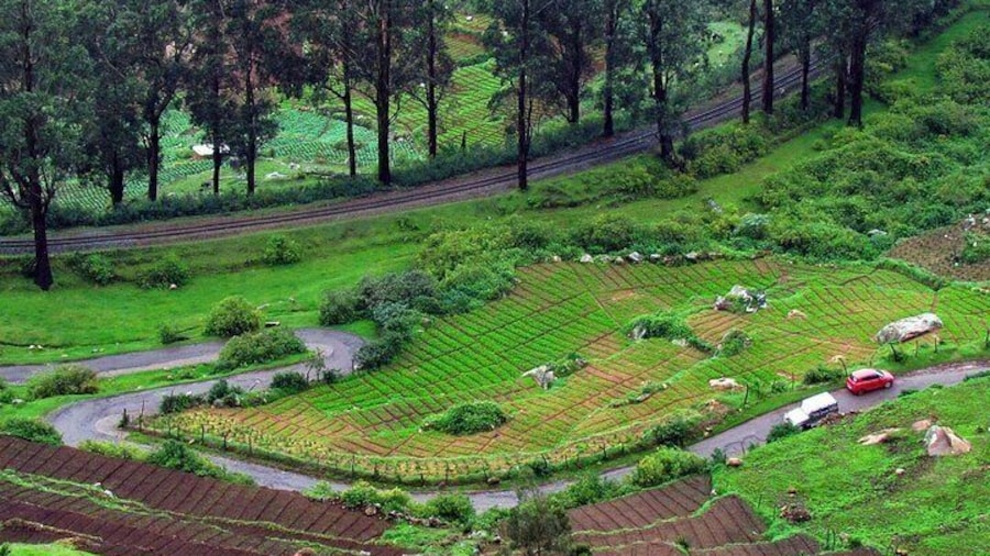 Ooty & Kumarakom Tour
