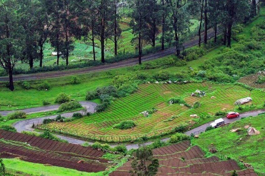 Ooty & Kumarakom Tour 