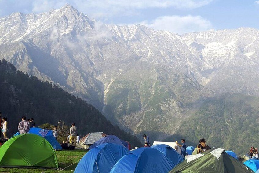 Triund Trek