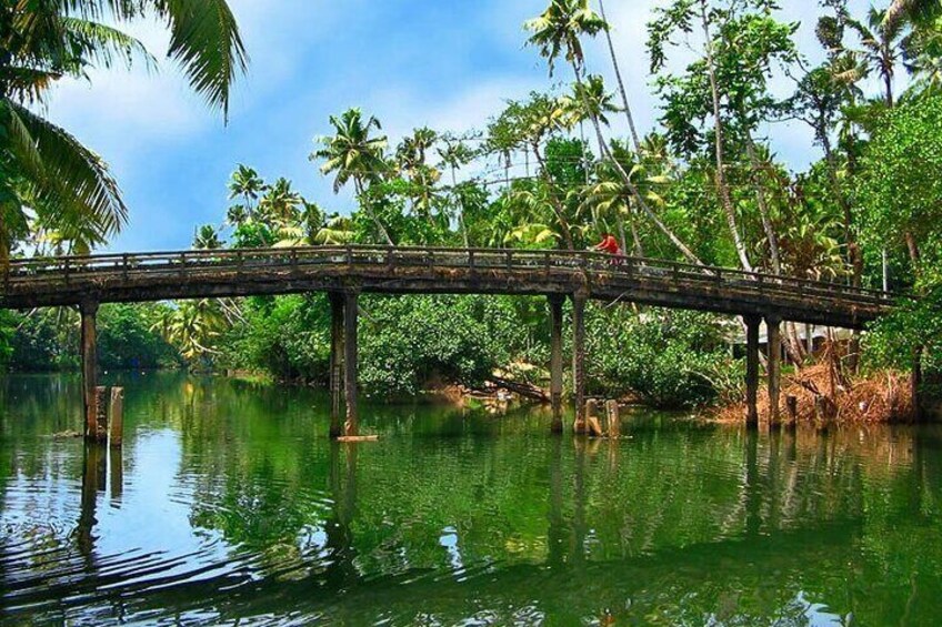 8 Days Kerala Private Tour Covering Kochi- Munnar- Periyar- Alleppey and Kovalam