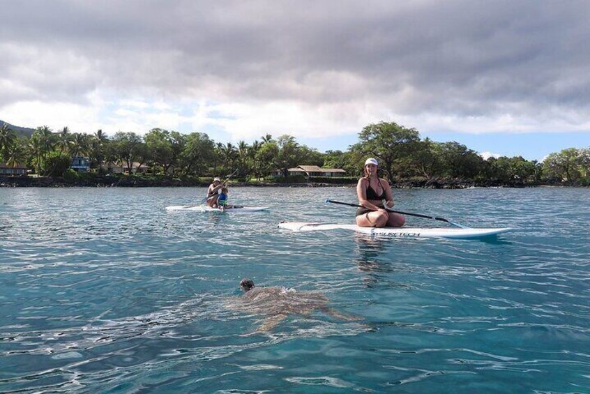 Private 2-Hour Beginner Paddleboarding 101 from Makena