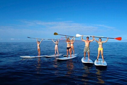 Private Beginner Paddleboard 101 Lesson- Polo Beach, Turtle Town!