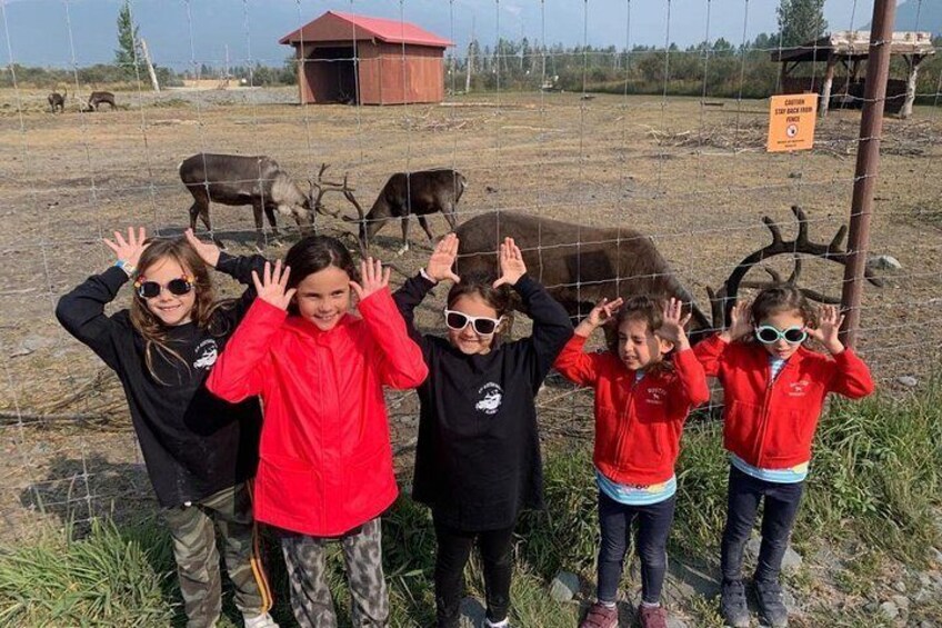 Caribou and Kids at the AK Wildlife Conservation Center