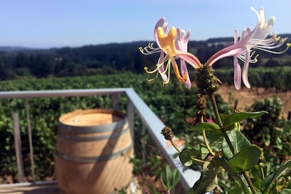 Willamette Valley Character Winery Tour