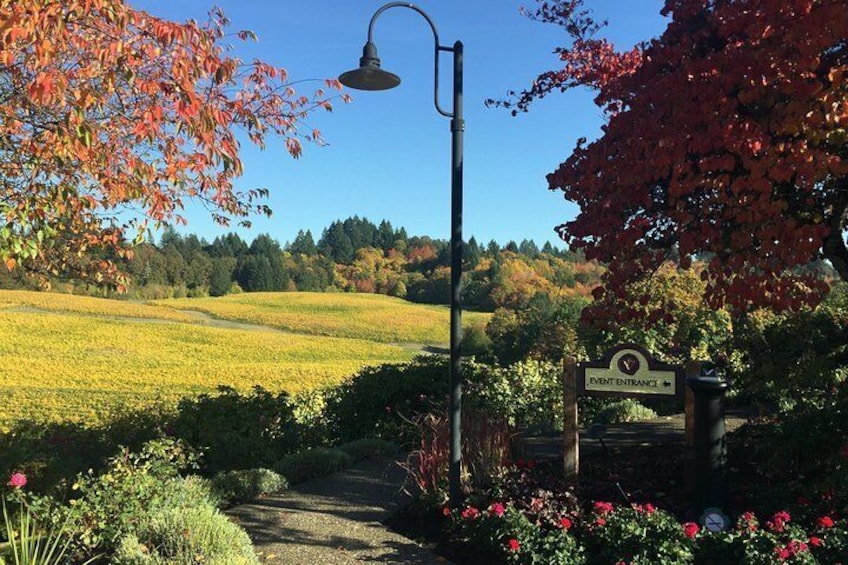 Willamette Valley Character Winery Tour