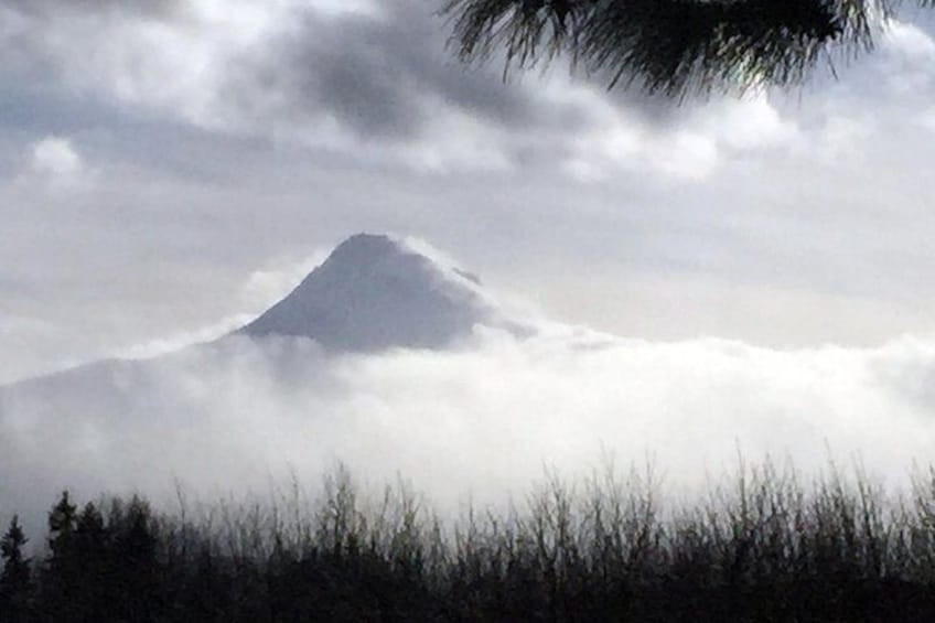 Full-Day Mt Hood Waterfall Tour with Lunch and Wine Tasting