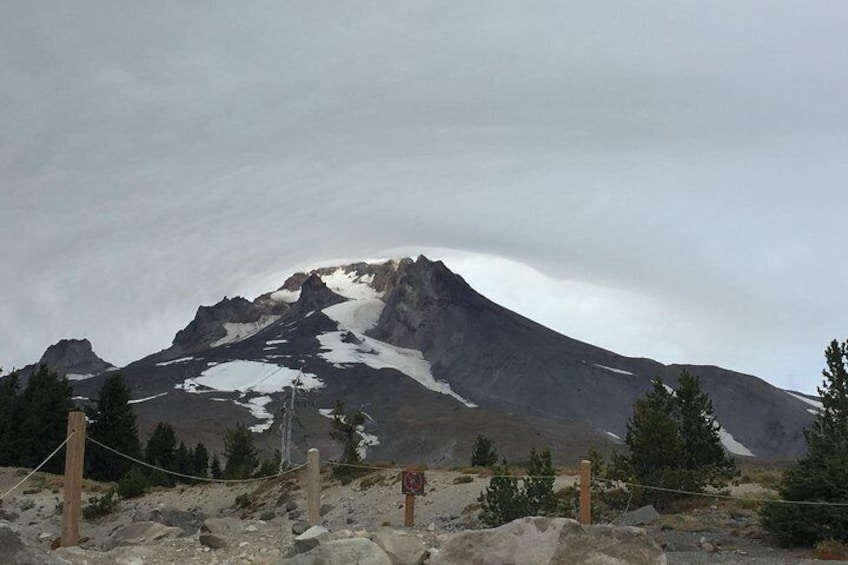 Full-Day Mt Hood Waterfall Tour with Lunch and Wine Tasting