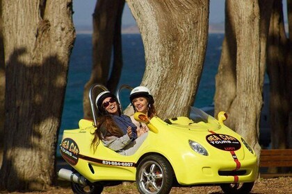 Tour di 3 ore a Monterey, Cannery Row e Pacific Grove Sea Car