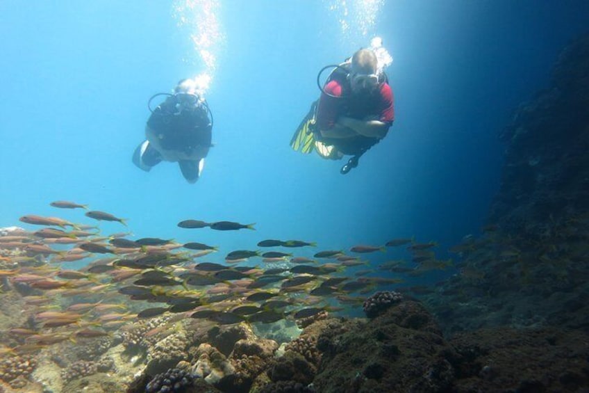Maui scuba diving with Banyan Tree Divers Maui
