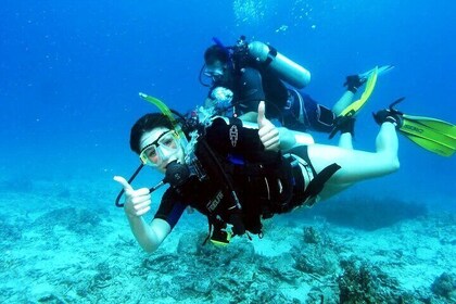 Scuba Diving for Beginners w/ Lunch & Transfer - Sharm El Sheikh