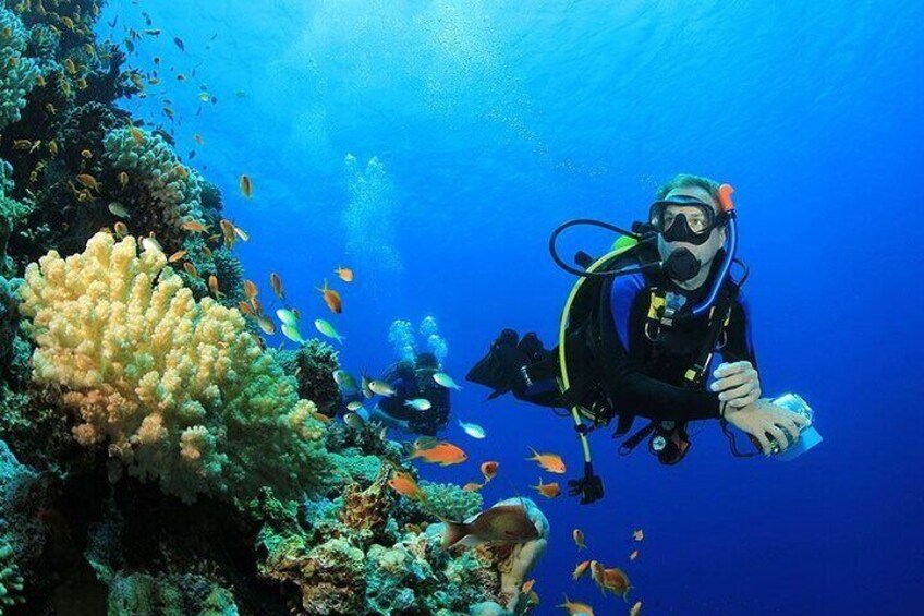 Scuba Diving for Beginners w/ Lunch & Transfer - Sharm El Sheikh