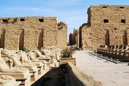 cheap trip -from hurghada to luxor , return and lunch(Entrance fees include...