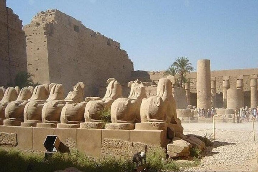 cheap trip -from hurghada to luxor , return and lunch(Entrance fees included)