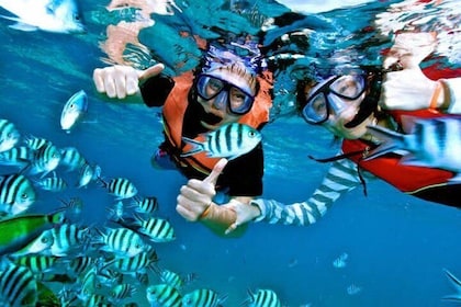 Snorkelling Experience At Blue Lagoon Bali With Lunch And Transfers