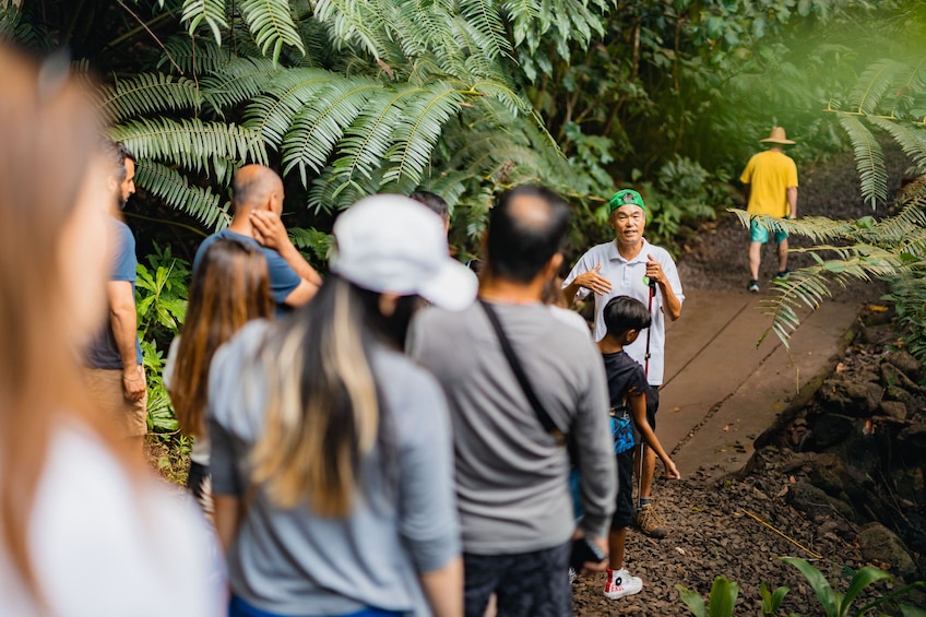 Nature and You: Oahu Waterfall Hiking Tour with Lunch