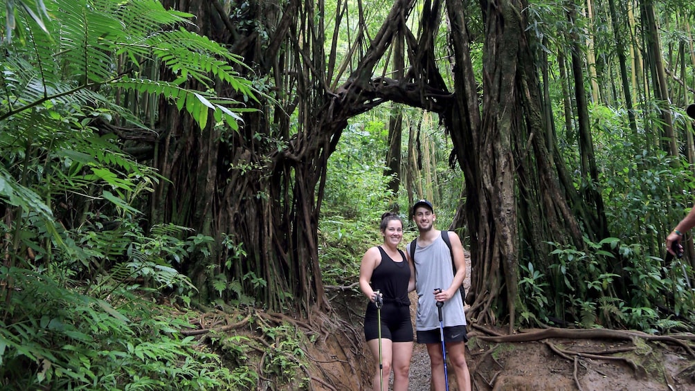 Half-Day Oahu Rainforest and Waterfall Hiking Tour