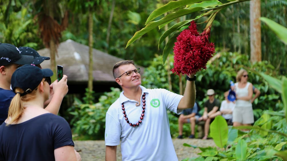 Half-Day Oahu Rainforest and Waterfall Hiking Tour