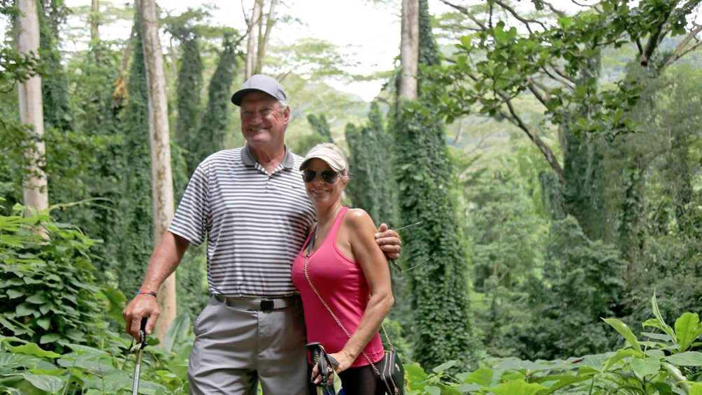 Half-Day Oahu Rainforest and Waterfall Hiking Tour