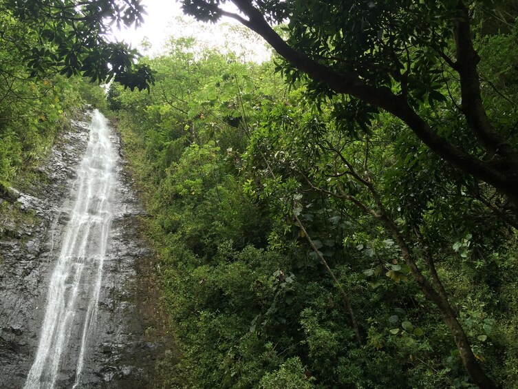 Nature and You: Oahu Waterfall Hiking Tour with Lunch 