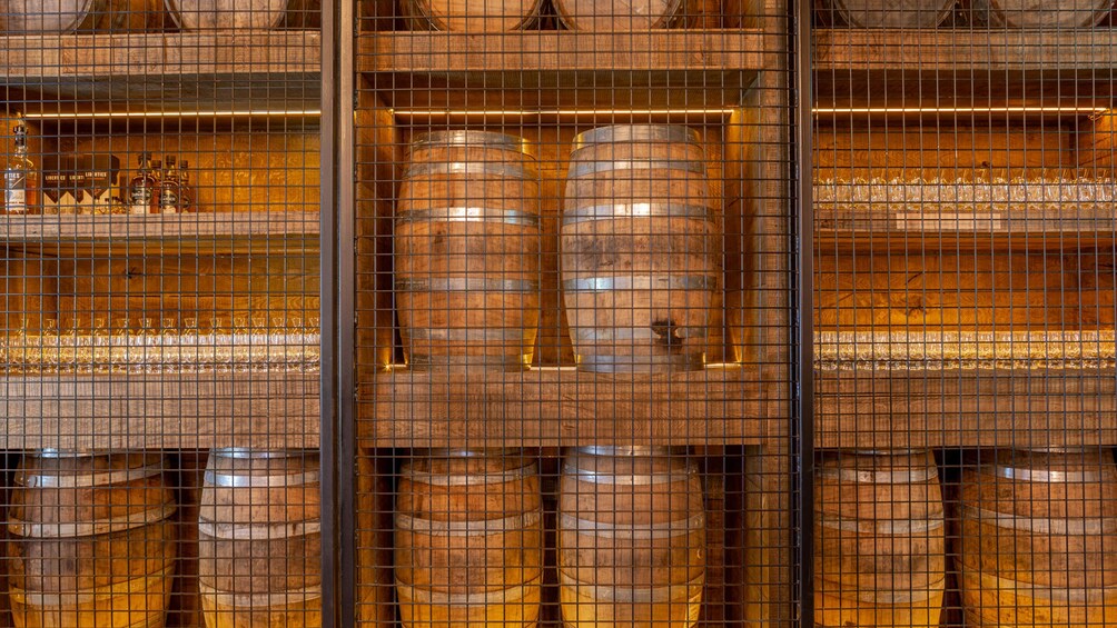 The Dublin Liberties Distillery Tour and Guided Tasting