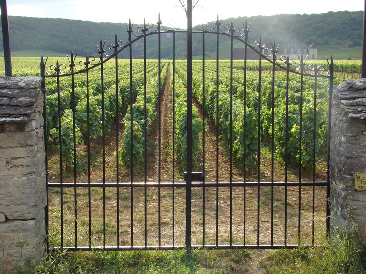 Show item 5 of 7. Toulouse to Carcassonne and Albi : Private Sightseeing Tour
