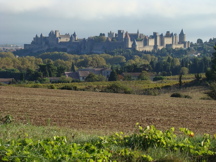 Toulouse to Carcassonne and Albi : Private Sightseeing Tour