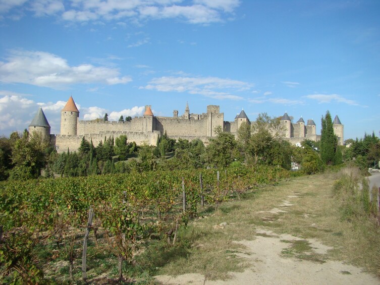 Toulouse to Carcassonne and Albi : Private Sightseeing Tour