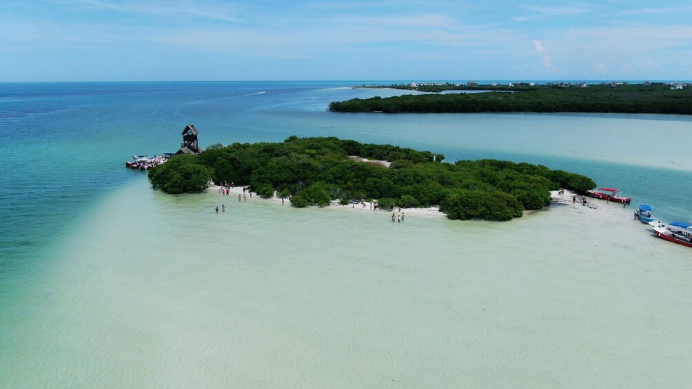 The Best of Holbox Island Tour with Lunch