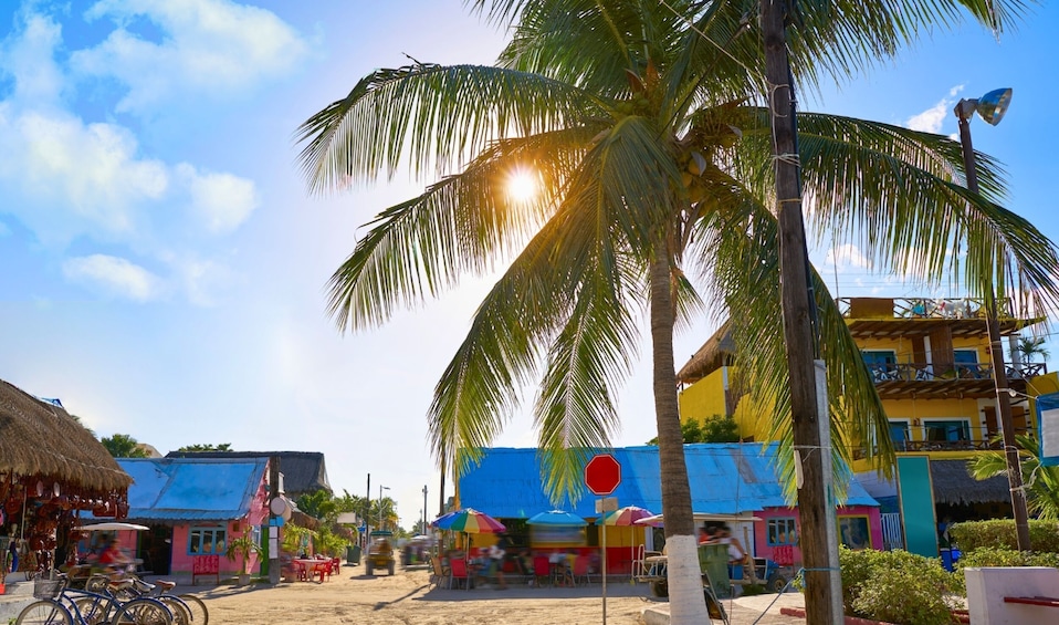 The Best of Holbox Island Tour with Lunch