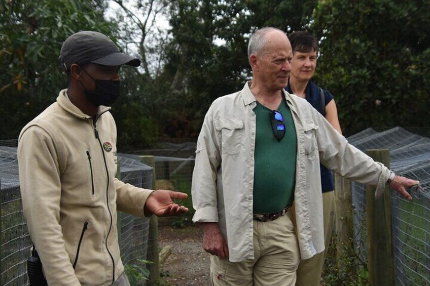 Guests enjoying learning about the cats at Tenikwa