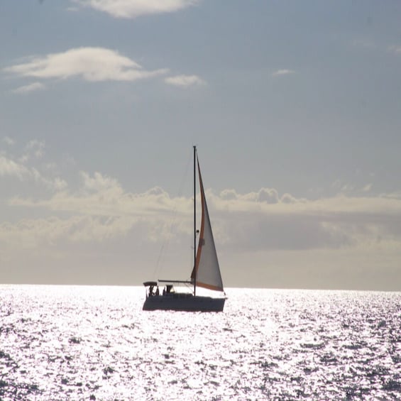 Swim and Sunset Sail