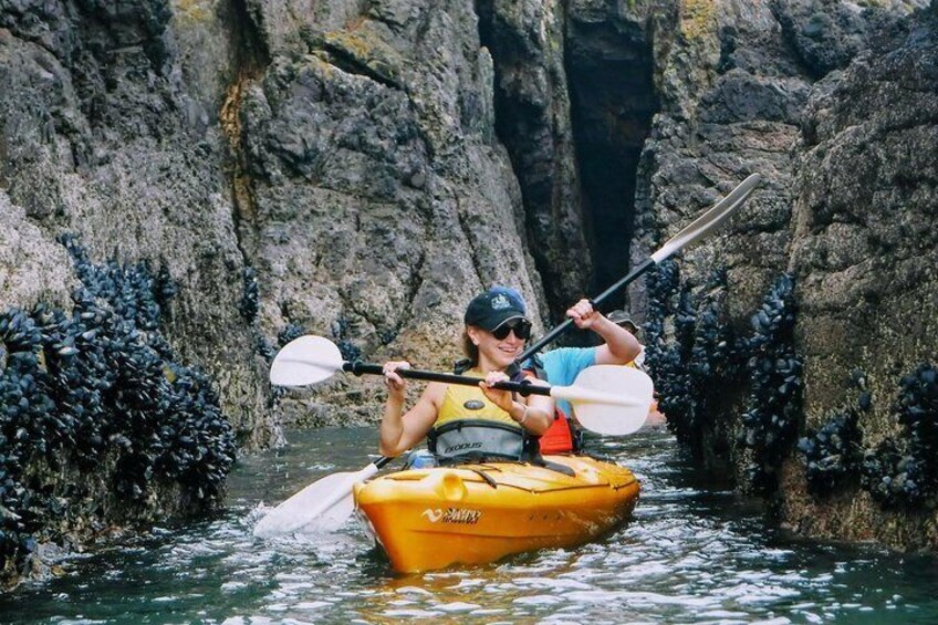 Mussel tunnels