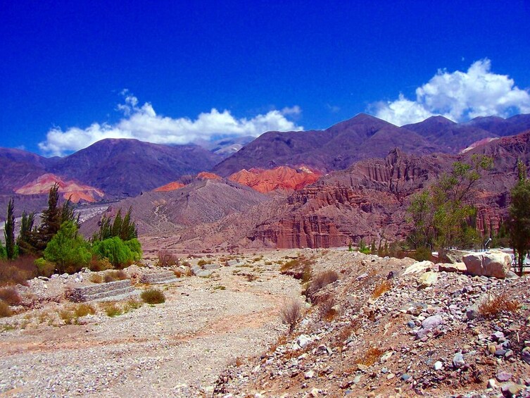 Quebrada de Humahuaca Day Trip from Salta