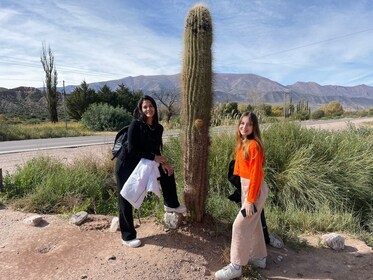 Excursión de un día a la Quebrada de Humahuaca desde Salta