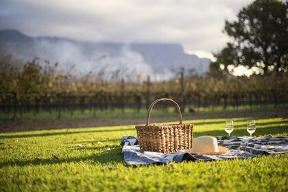 Full-day Winelands Explore Private Tour: Stellenbosch, Franschhoek, Paarl r...