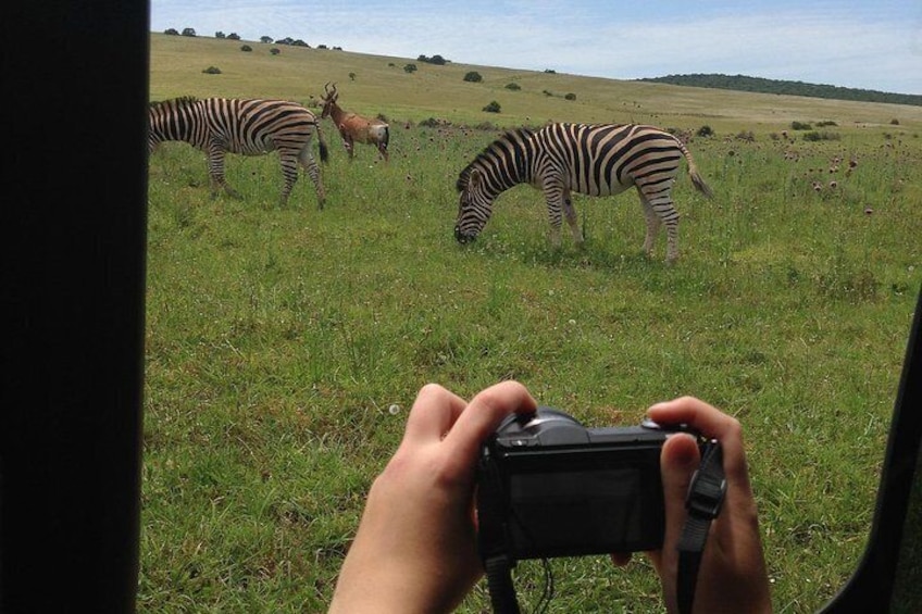 7-Day Garden Route, Winelands and Addo Small Group Combo Tour from Cape Town