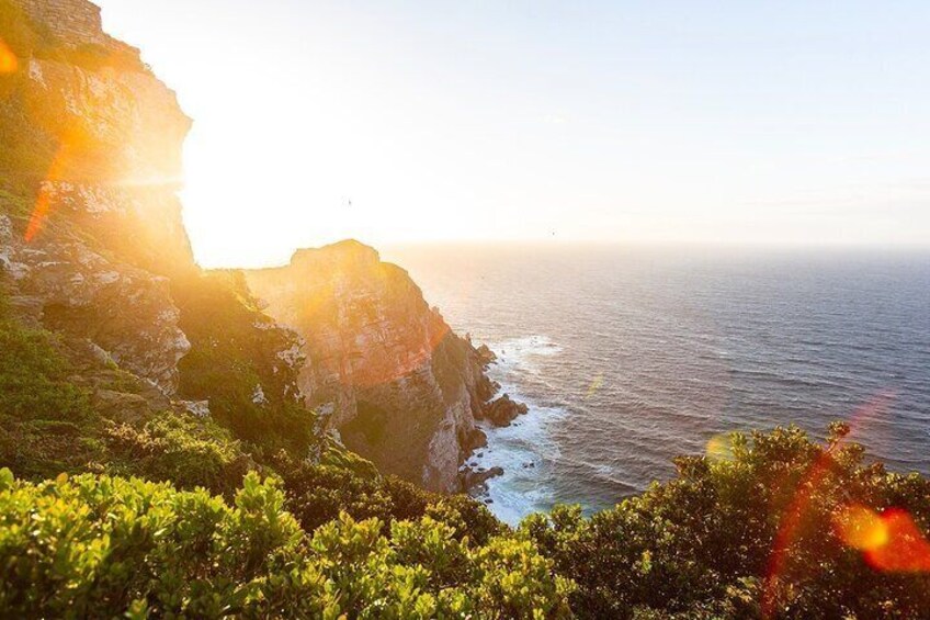 7 Day Garden Route & Addo, Cape Point and Winelands Small Group Combo Package