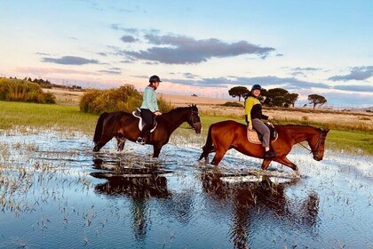 Half Day Horseback Wine Tour