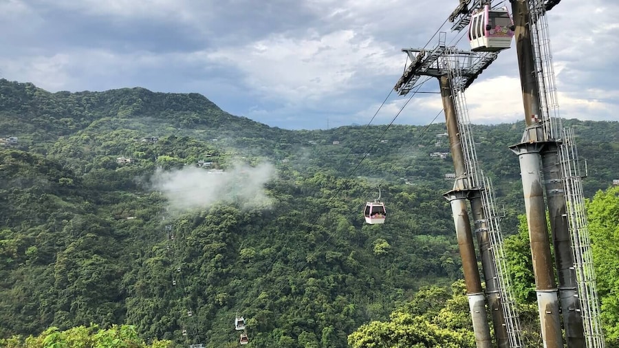 Pinglin Tea Culture & Maokong Day Tour from Taipei
