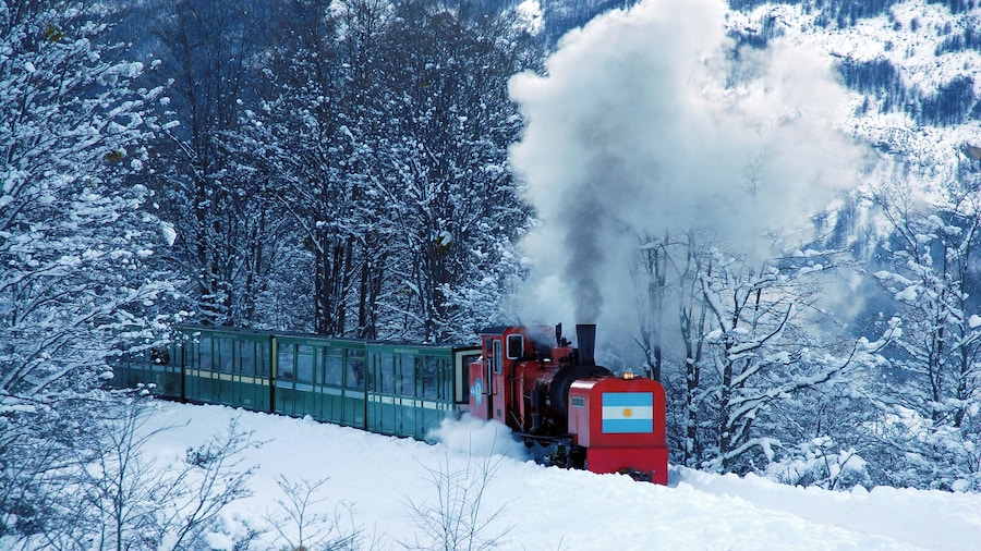Tierra del Fuego National Park by Bus/End of The World Train