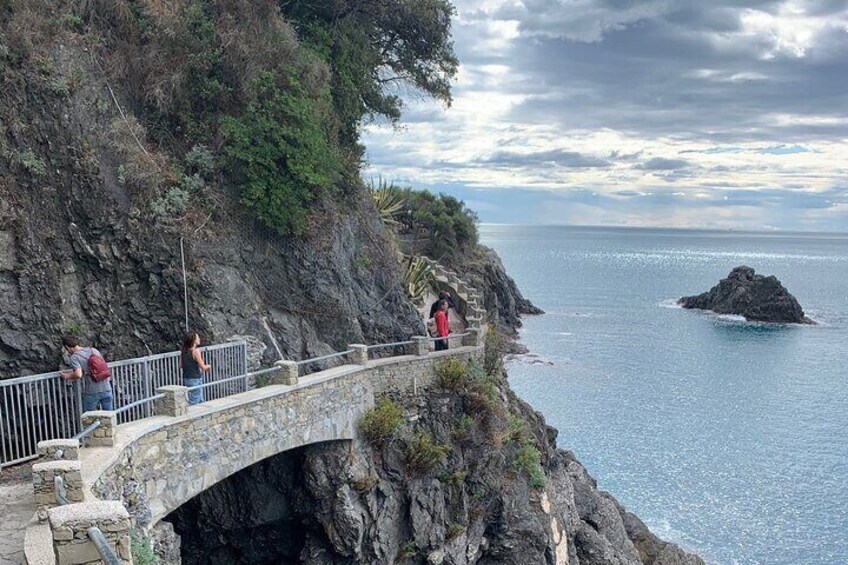Cinque Terre Private Tour from Lucca