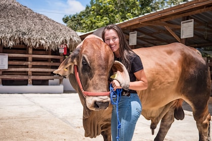 Exploración: Encuentros con animales desde Punta Cana