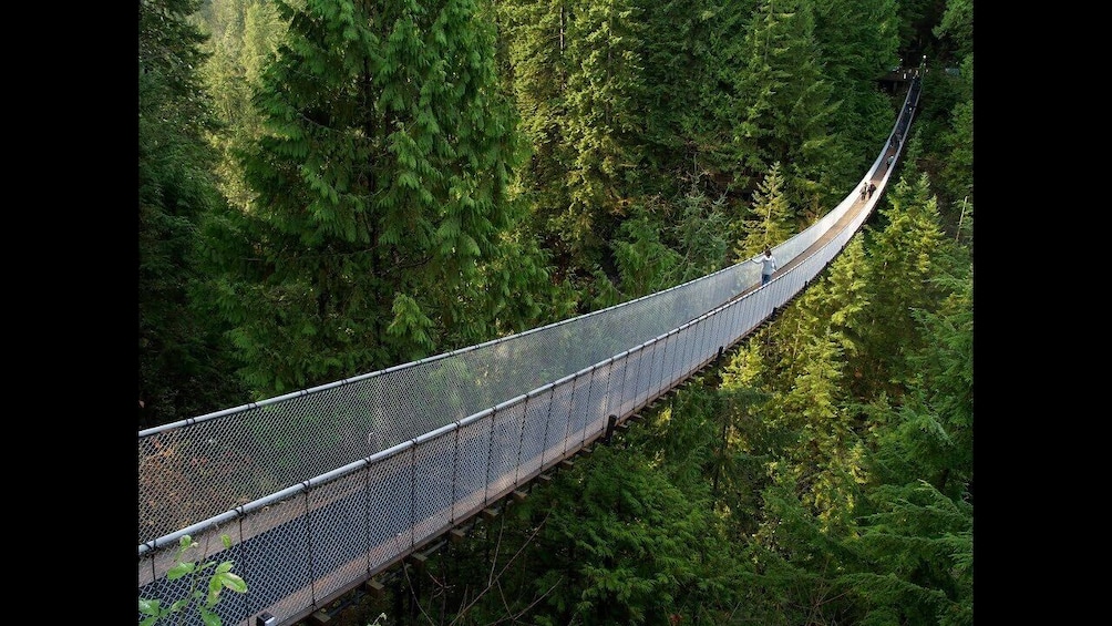 Show item 2 of 2. 4.5 Hrs Epic Natural Sightseeing in North Vancouver