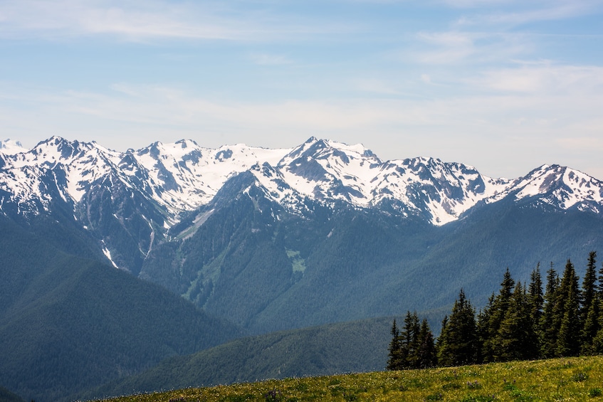 Olympic National Park Tour from Seattle